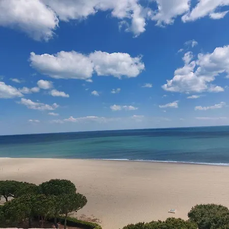 Rdc 4 Pers, Acces Direct Plage, Terrasse Vue - Fr-1-776-55 Apartment