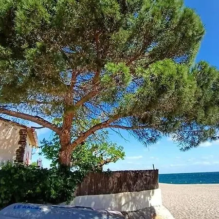Rdc 4 Pers, Acces Direct Plage, Terrasse Vue - Fr-1-776-55 Argeles-sur-Mer